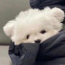 陪伴是最长情的告白，