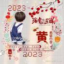 大宝