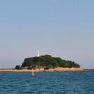 2226666牛的头像-日本！日本语