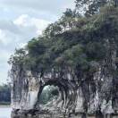 流氓兔