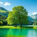 陕西百草鑫田生物赵红