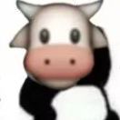 荒唐的头像 - 浩宇工作室