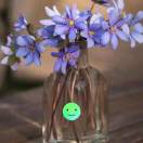 王玉芳