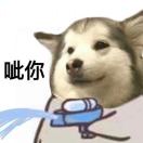 野味儿吃法专家