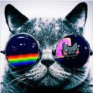 客栈老板呜喵君的头像-cok论坛 - AGREE动漫游戏