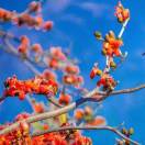 @Deleting in progress