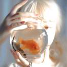 鈴木夜的头像-日本！日本语