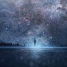 梦一生花开无言