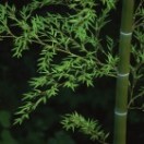 山河