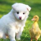 u客直谈实名认证何金根