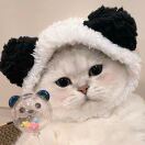 蓝桉的头像-创薯资源