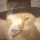 coconut的头像-嗨免费下