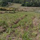 收中药材农户菜销售19374477556