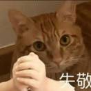 185****6281的个人空间