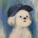 纽约(纽约州)求租