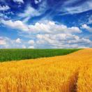 ax6000的头像-小哥网