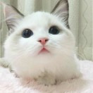 此间