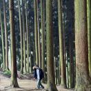 a全川最专业（电话13281499019）