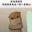 向先生的头像