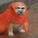 笑口常开137776