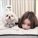布里斯托求租