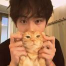 整租套间(Studio)