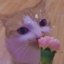 豆芽瓣瓣儿🌸-秀琴曲谱网