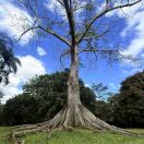 Central Park Apartments 转租&房东直租