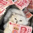 微信小程序