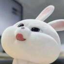 小贱仔