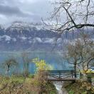 郝杰的头像-小燕分享网