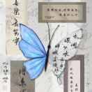 用户头标