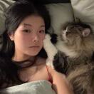 Block b, great Northern tower 转租&房东直租