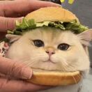 二旬老太