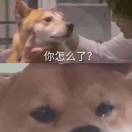 王柠宏