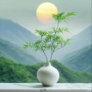 用户17181341的头像-村少博客