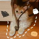 辰