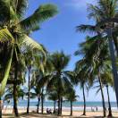 云龙的头像-战友联盟