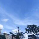 用户头标