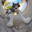 user_20ps69xbntizqc5i member profile picture