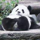 wowo的头像-VAM®克苏恩资源社区