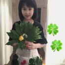 Houghall Court转租&房东直租