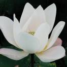 钱塘@新浪@钱塘