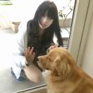 用户补充投诉