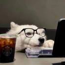 用户35803507的头像-音创社AI SonoCraft丨科技改变未来