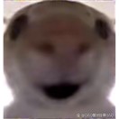 帅哥的钢琴谱