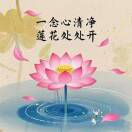 衍初（善护念）