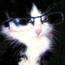 user_ng0ctcw67ygg5irz67099 member profile picture