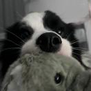 何一清-博士钣金 - www.bsbanjin.com