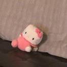 用户14546306的头像 - 校园论坛